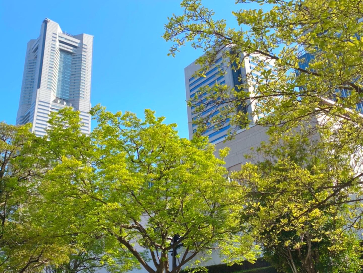 横浜ランドマークタワー 横浜ランドマークタワー