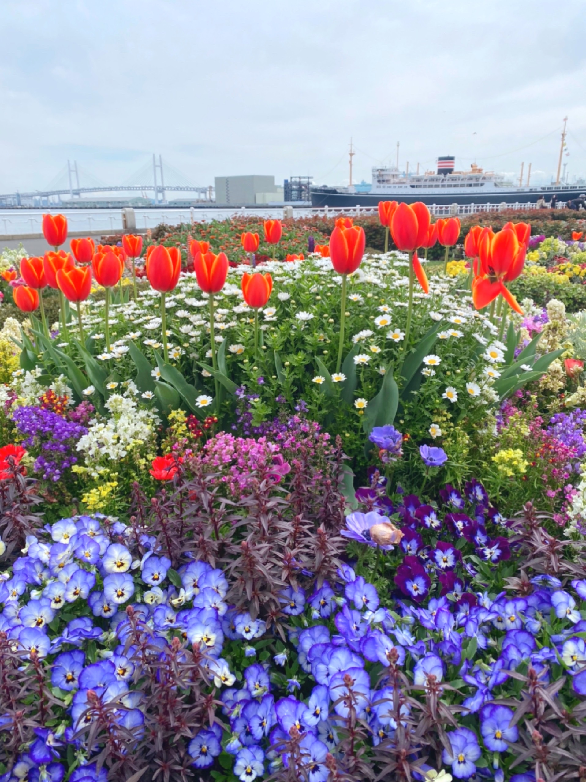 当社近くにある横浜山下公園のお花